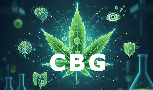 Le Cannabigérol (CBG) : Exploration Scientifique de la "Molécule Mère"