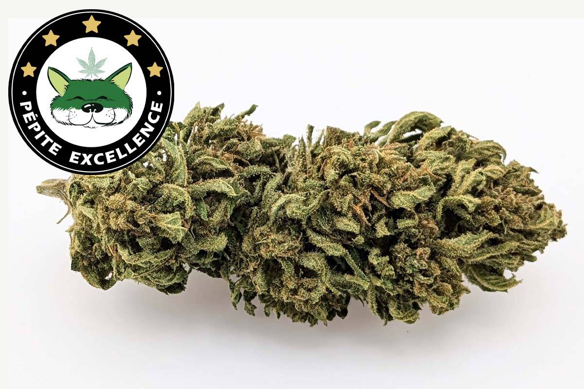Fleurs Critical CBD ≤ 15 %