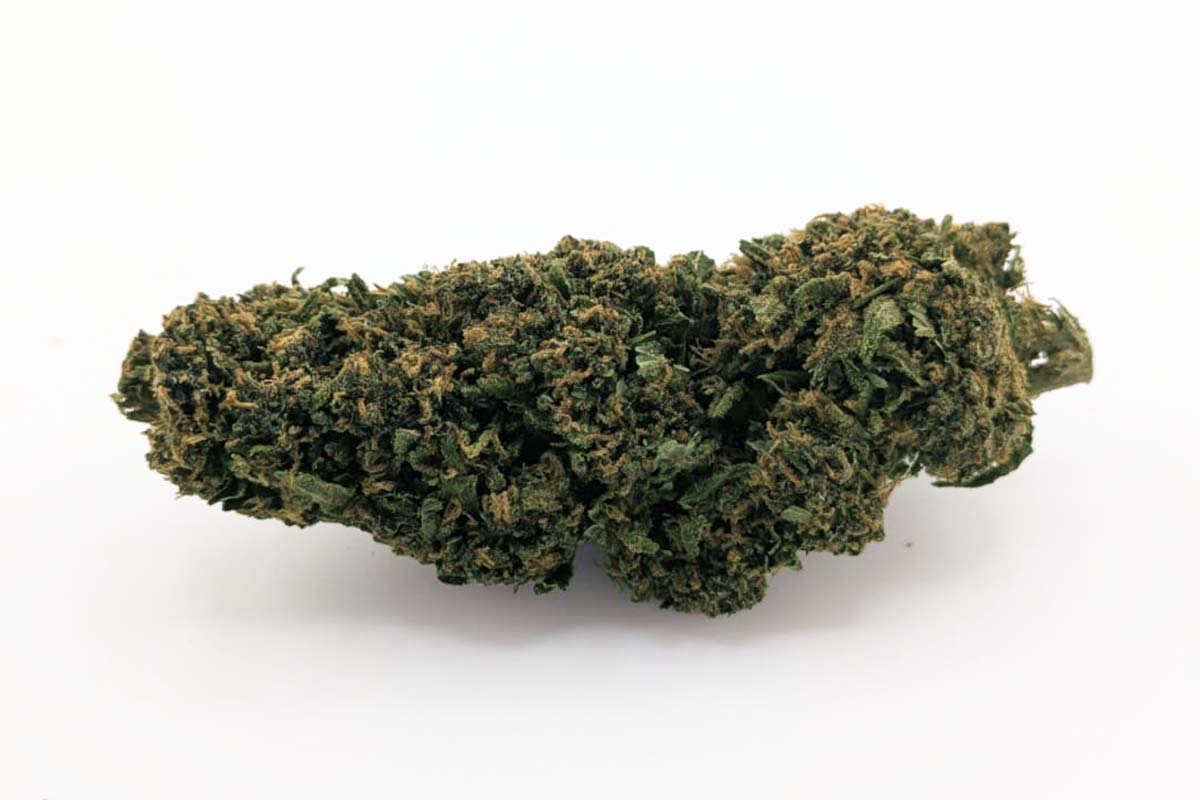 Fleurs Pink Floyd CBD ≤ 15 %