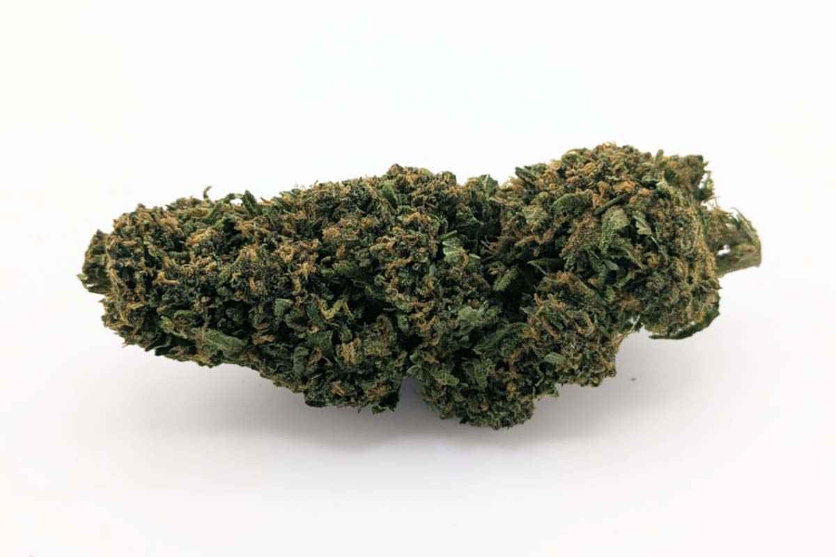 Fleurs Pink Floyd CBD ≤ 15 %