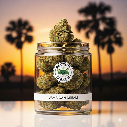 Jamaican Dream  - Bienfaits et origine chez Docteur Green