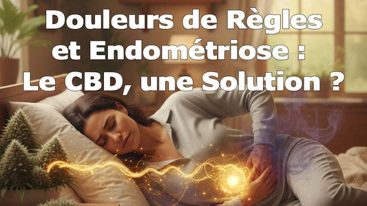 Douleurs Menstruelles et Endométriose:  Trouvez le Confort avec le CBD