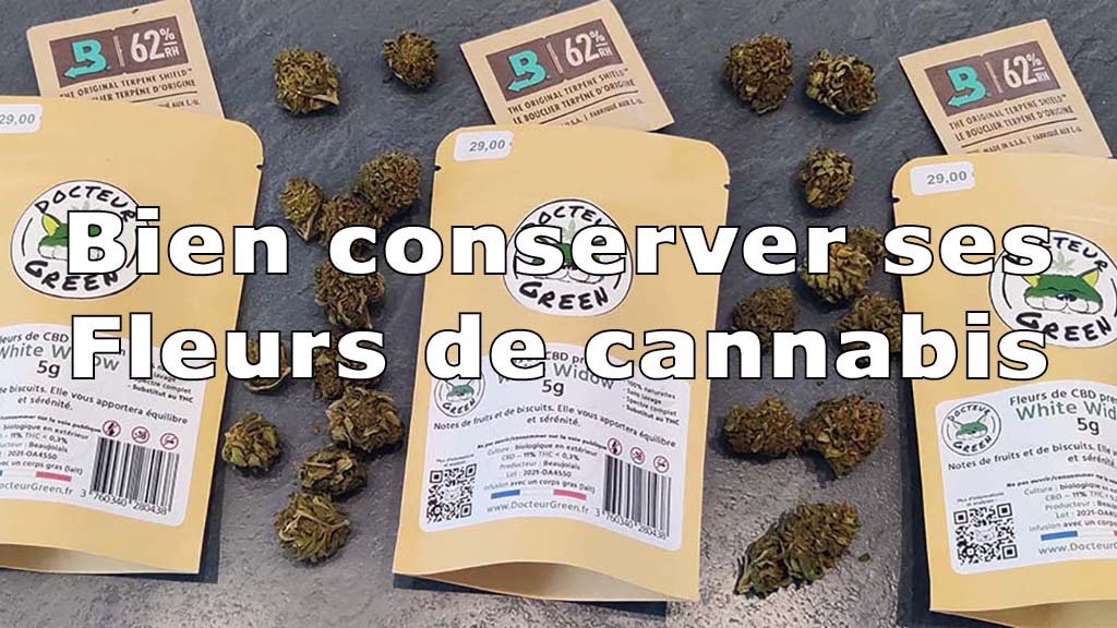 Conservation Fleurs CBD : Le Guide pour Préserver les Arômes