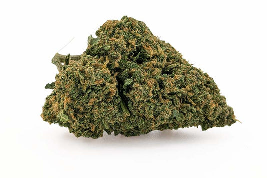 Fleurs Amnesia du Sud ≤ 15 %