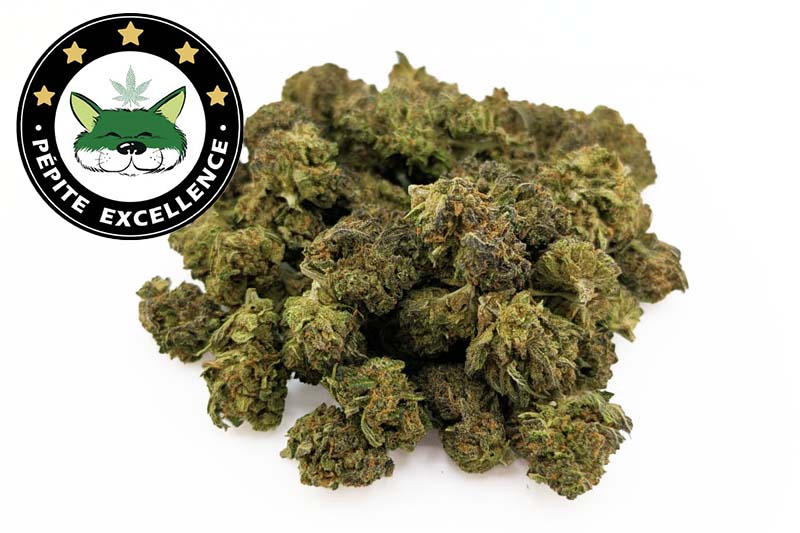 Fleurs Blueberry Muffin CBD ≤ 15 %