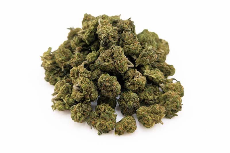 Fleurs Blueberry Small CBD ≤ 15 %