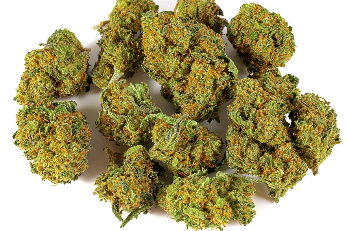 Fleurs Blueberry Small CBD ≤ 11 %