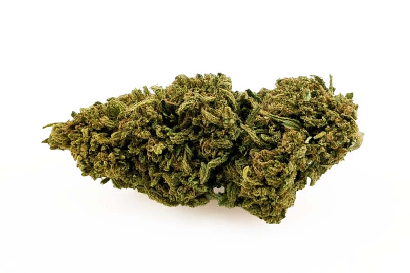 Fleurs Bubble Gum CBD ≤ 15 %