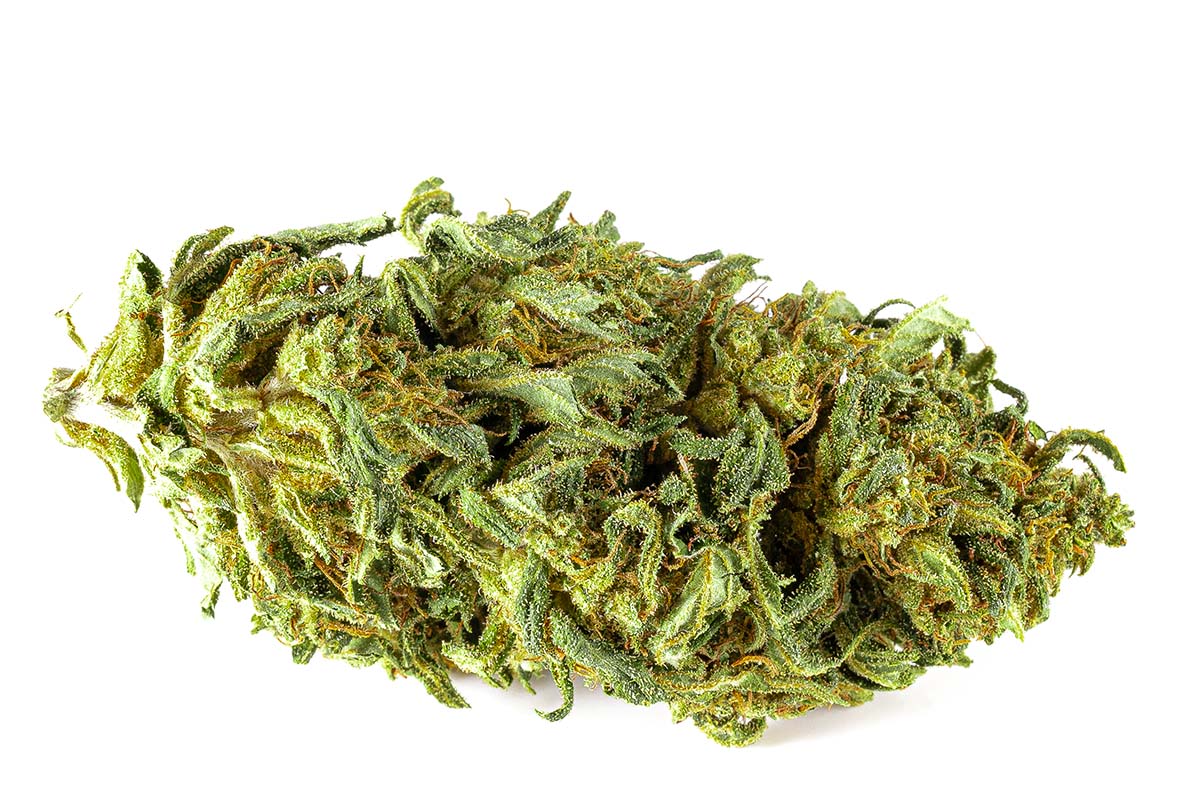 Buddha Kush CBD