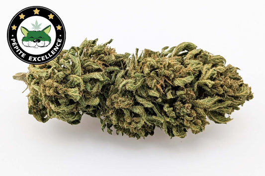 Fleurs Critical 47 CBD ≤ 15 %