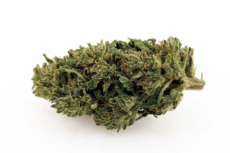 Fleurs Jack Herer CBD ≤ 15 %