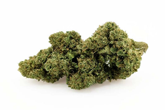 Fleurs Jack Herer CBD ≤ 15 %