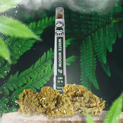 Stick pré-roulé White Widow Indoor CBD 16 %