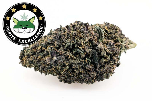 Fleurs Pink Floyd Indoor Pépites CBD ≤ 15 %