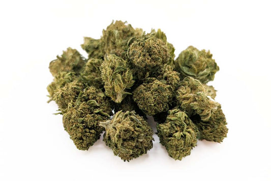Fleurs Raspberry Small CBD ≤ 12 %