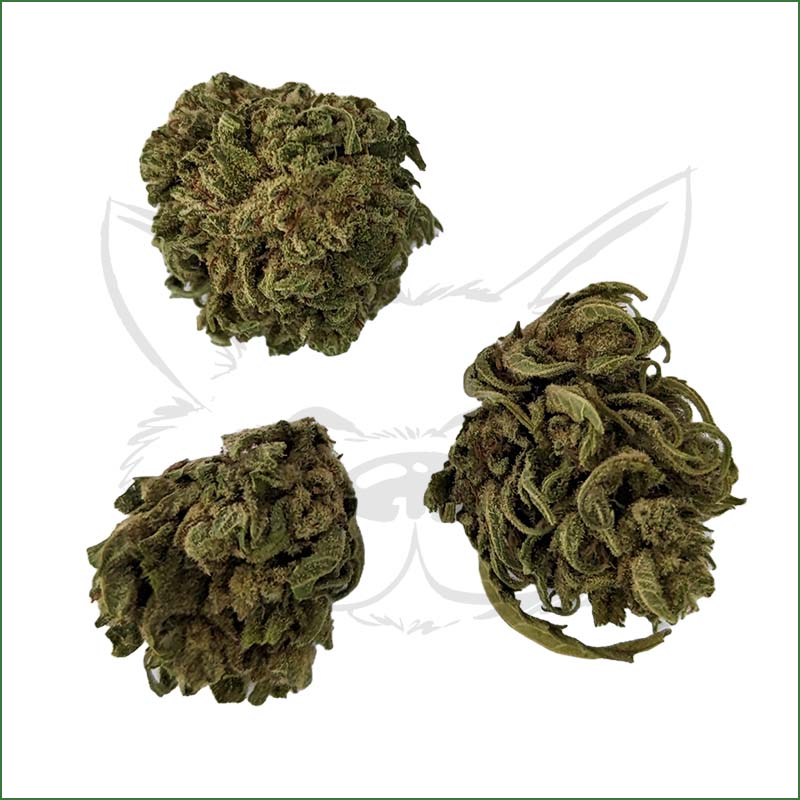 Fleurs Vanilla Kush CBD 13,7 %