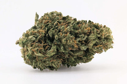 Fleurs Mango Haze CBD ≤ 15 %