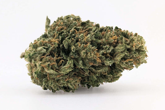 Fleurs Mango Haze CBD ≤ 15 %