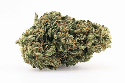Fleurs Mango Haze CBD ≤ 15 %