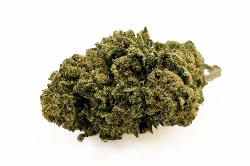 Fleurs OG Kush CBD ≤ 15 %