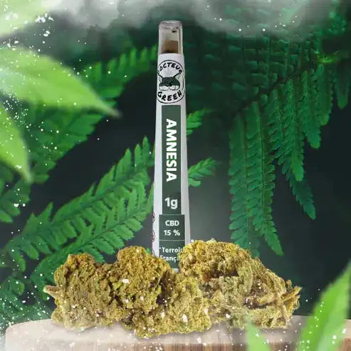 Stick pré-roulé Amnesia Indoor CBD 16 %