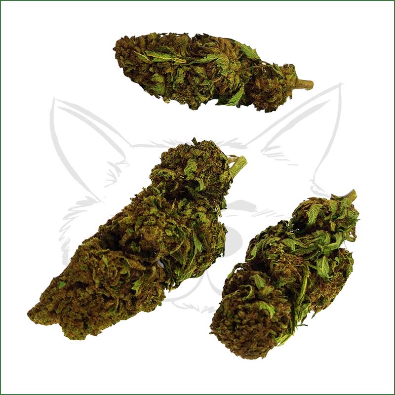 Fleurs OG Kush CBD 15,3 %