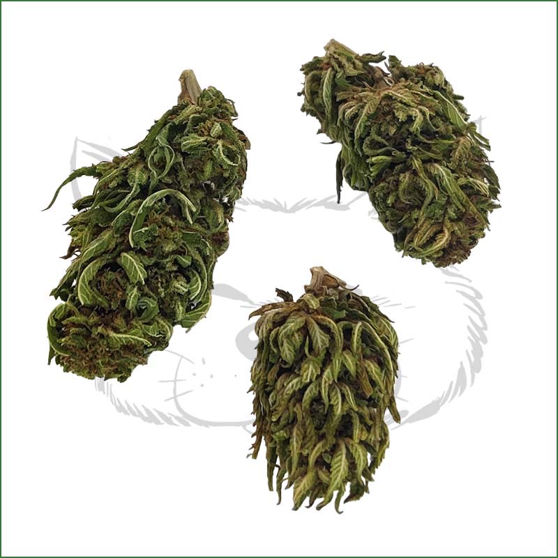 Fleurs Orange Bud CBD 9,6 %